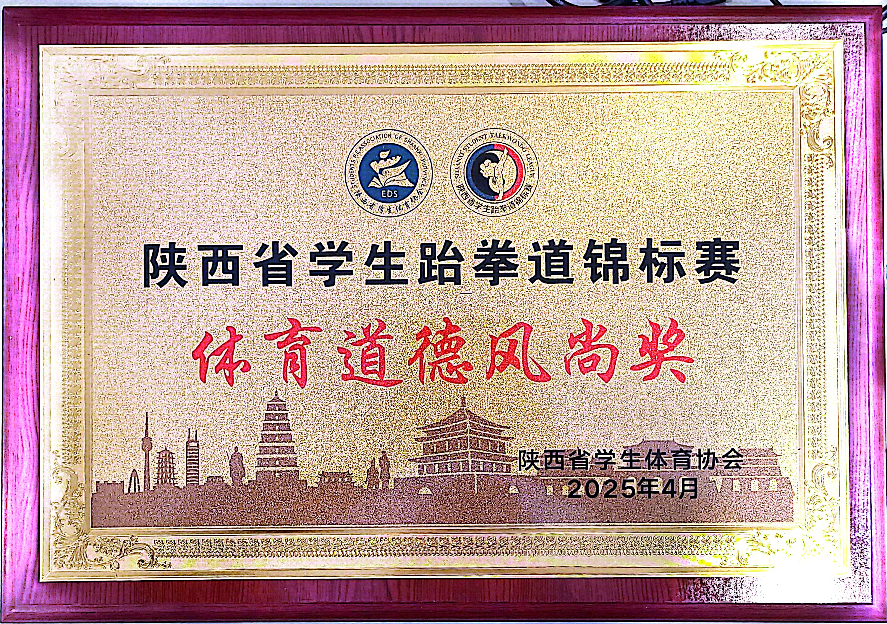 陕西省学生跆拳道锦标赛体育道德风尚奖（2025）.jpg